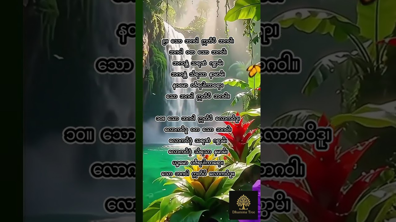 ဂုဏ်တော်ကွန်ချာ #crd #တရားတော်များ 🙏🙏🙏