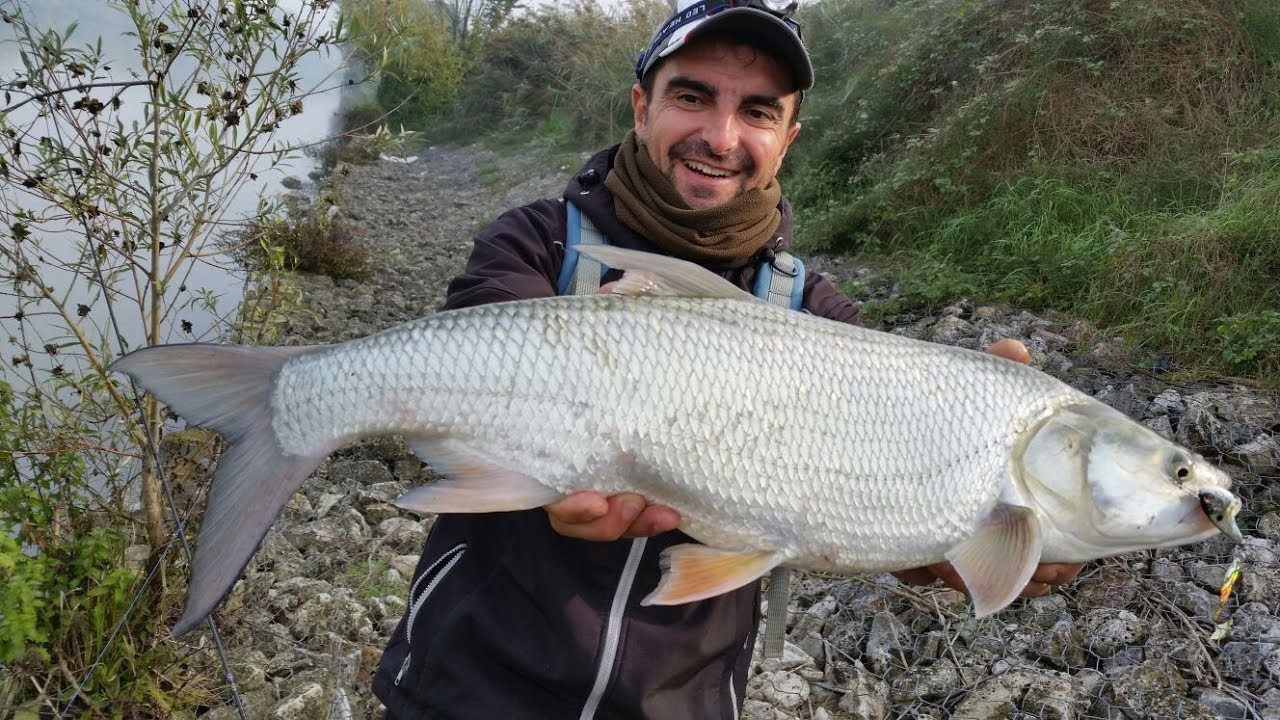 Pesca a Spinning,mix di clip incompleti 2017.(Spin fishing mix)