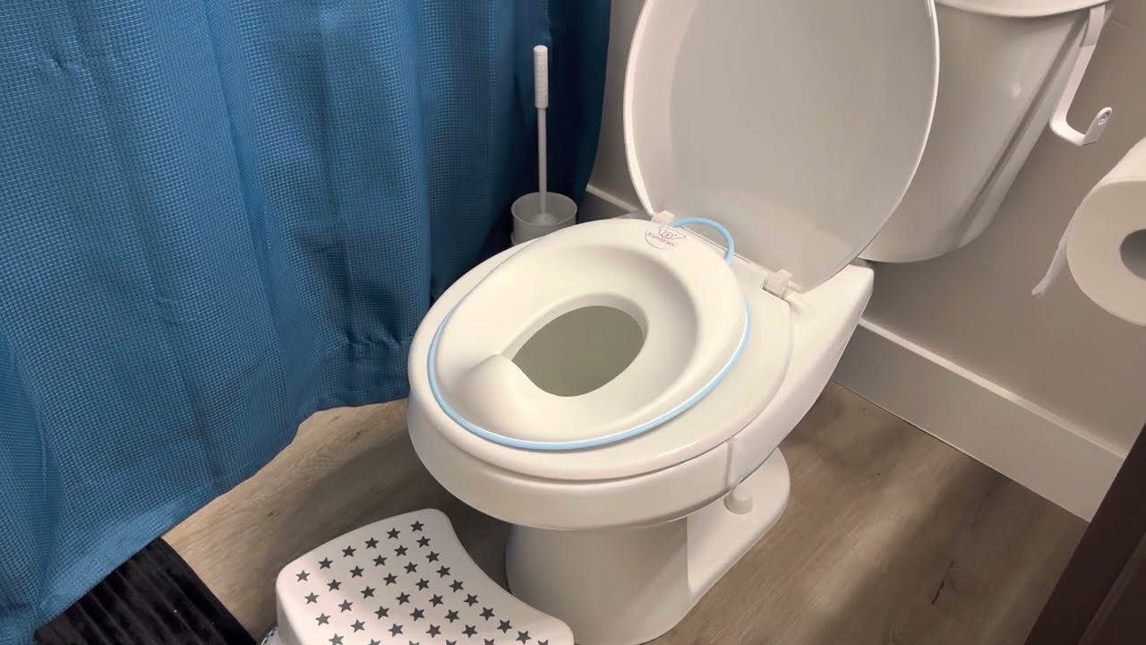 Best Potty Training Seat Ever! Baby Bjorn Toilet Training Seat
