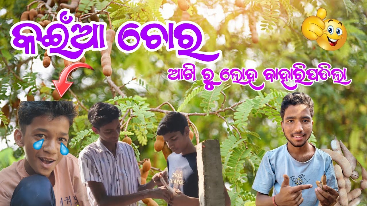 ତେନ୍ତୁଳି ଖଟା 😛vlog/A1 satyajit blogger 