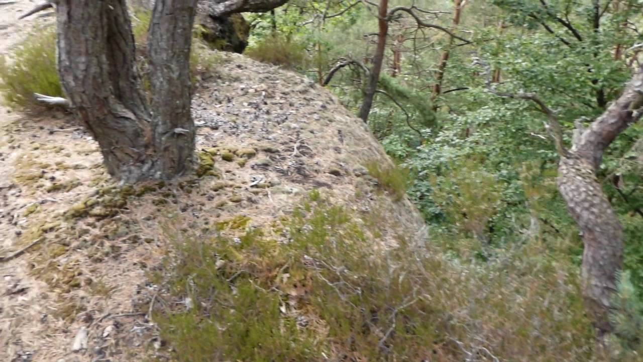 SATTERBERG - vidéo 1 - (2015)