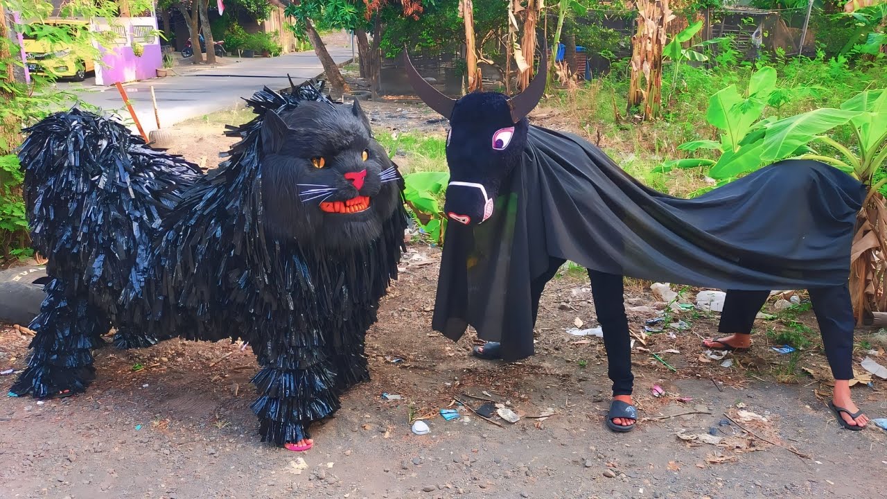 CAN MACANAN KUMBANG HITAM VS BARONGAN BANTENGAN MBEROT