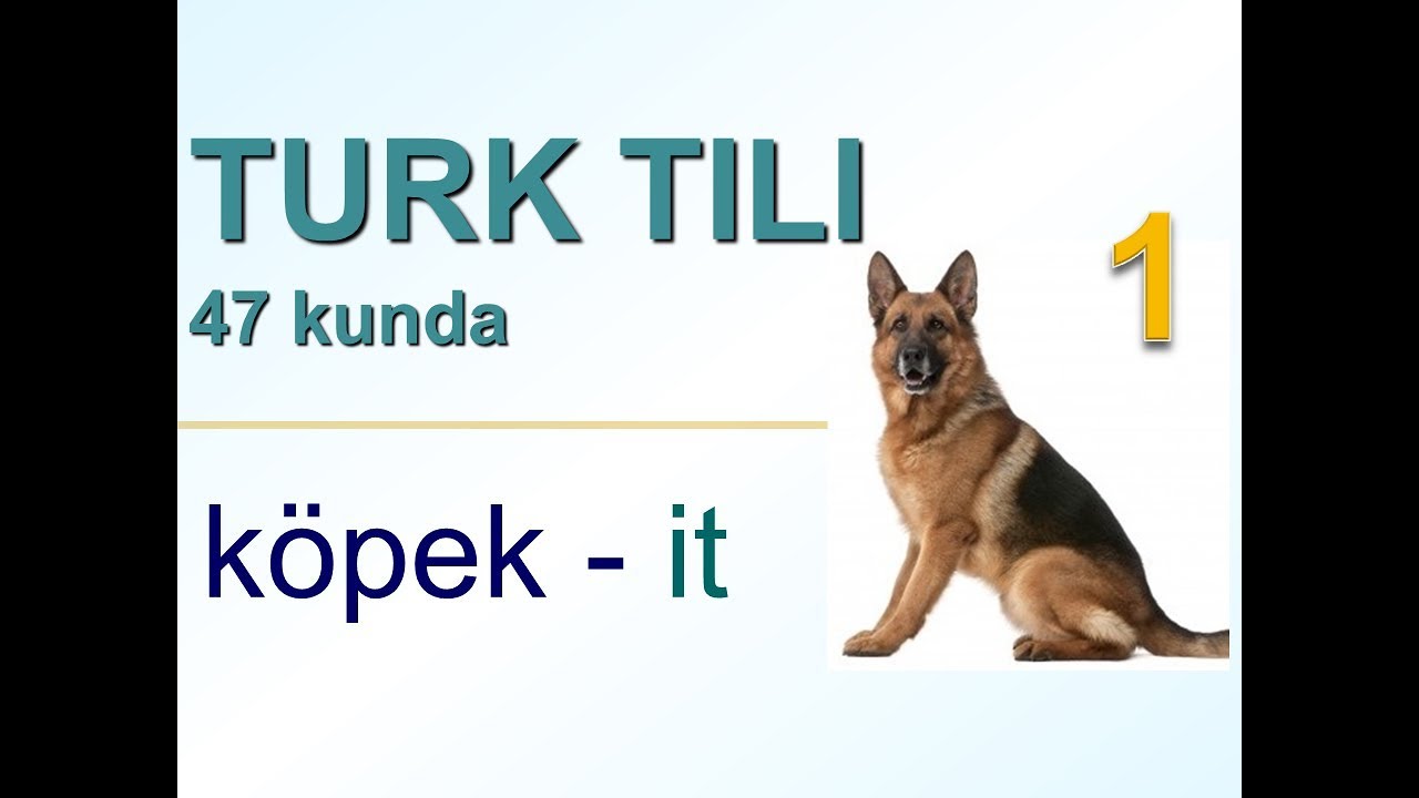 Турк тили 47 кунда 1-кун. Turk tili 47 kunda 1-kun. турк тилини урганиш