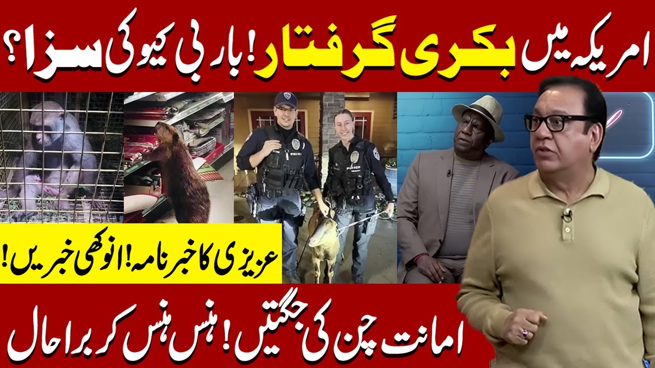 America mein Bakri Arrest | Khaber Nama | Sohail Ahmed | Hasb-e-Haal Official