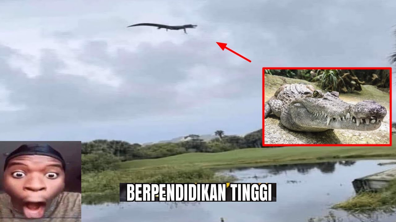 Meme Absurd Humor #17
