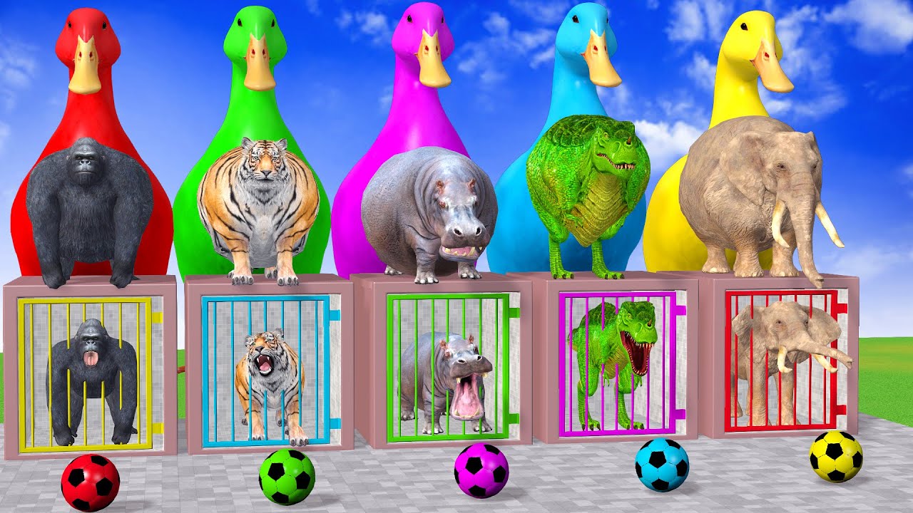Long Slide Game With Cow Elephant Gorilla Hippopotamus Tiger - 3d Animal Game - Funny 3d Animals