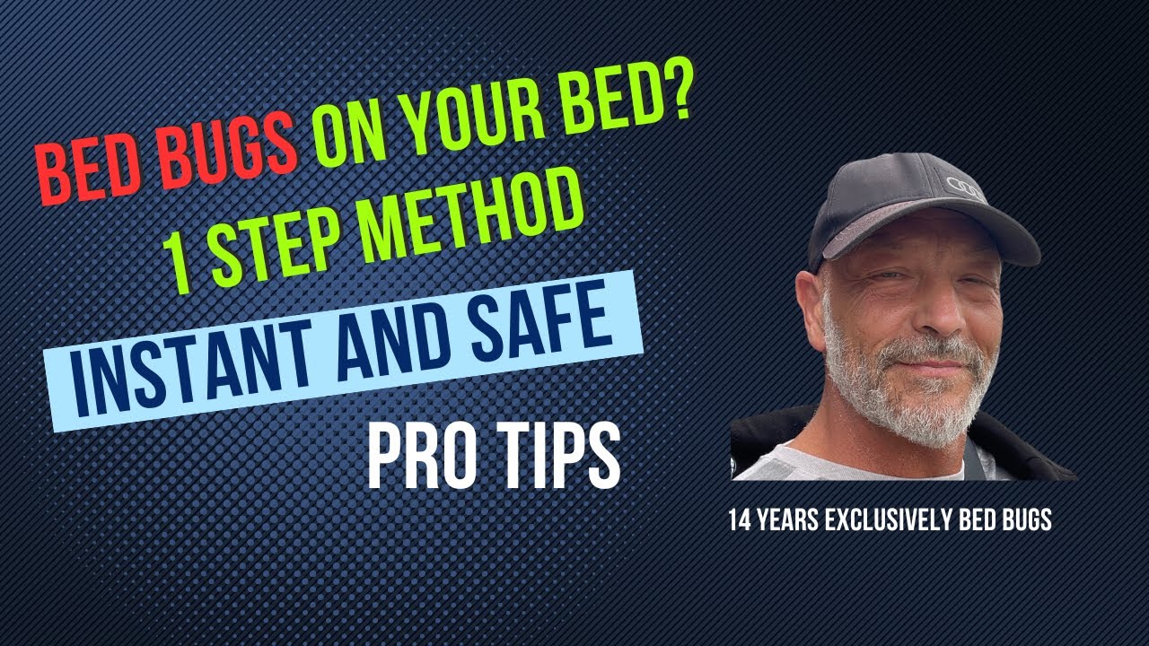 Kill Bed Bugs on Your Bed Instantly