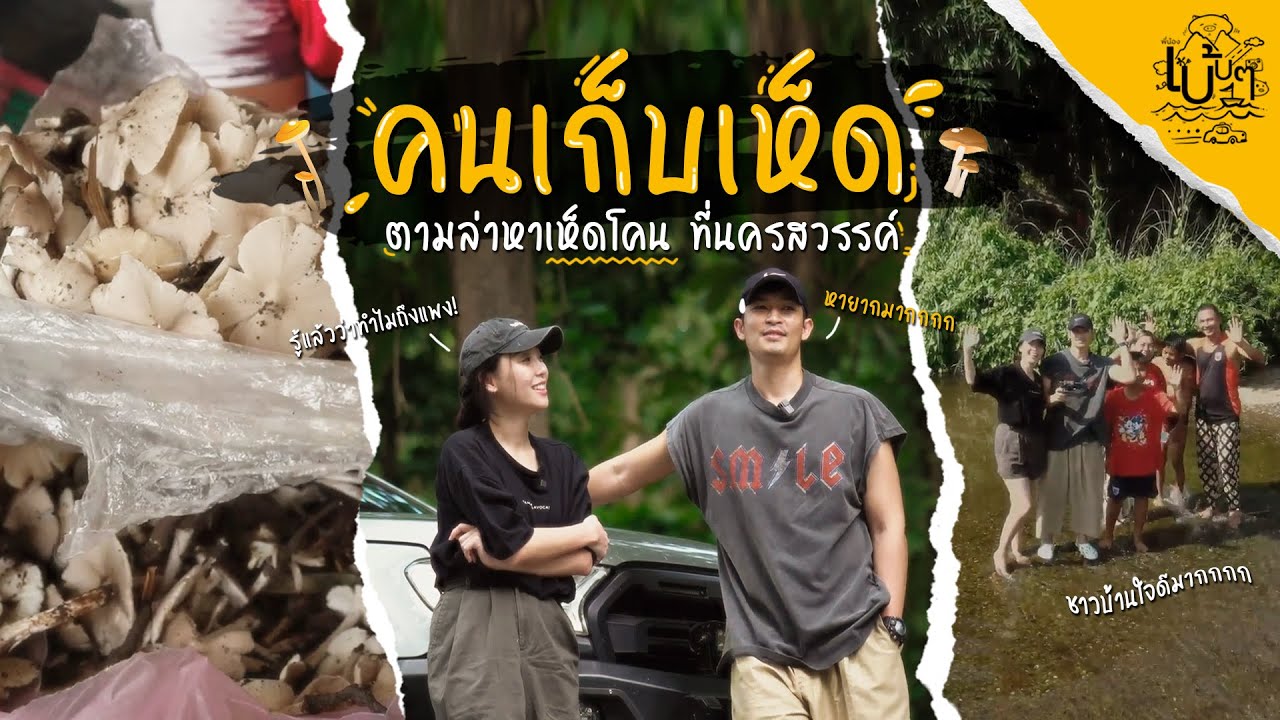 คนเก็บเห็ด ตามล่าหาเห็ดโคนที่จังหวัดนครสวรรค์ | พี่น้องเบ้บๆ