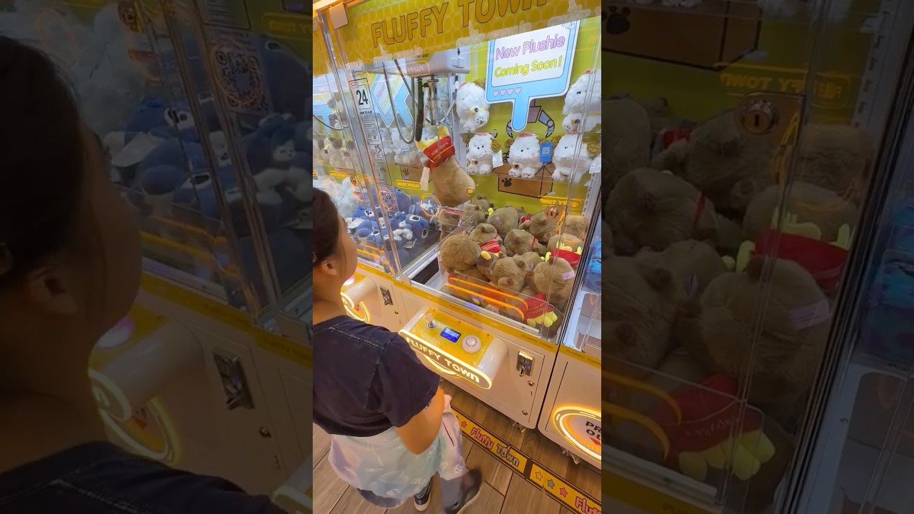 Fluffy Town Claw Machine Wins! #clawmachine #plushies #capybara #fluffytown #sanjose