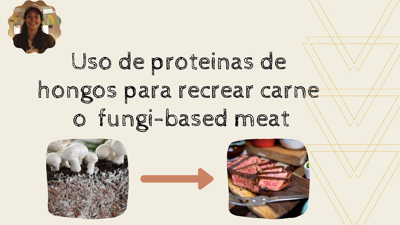 Productos cárnicos ALTERNATIVOS a base de proteinas de HONGOS !!!  🍄