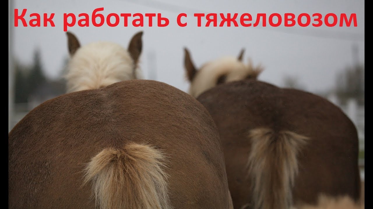 Как работать с тяжеловозами.