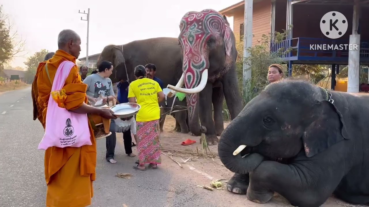 งานวันเกิดพ่อทอง...พ่อของน้องสาวพี่ดาว...เรื่องวุ่นๆ