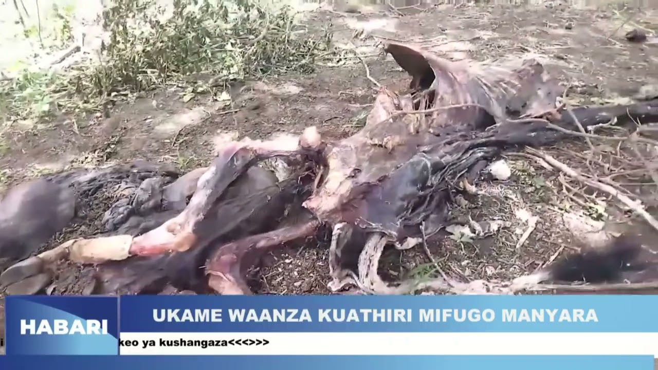 HABARI ZA KITAIFA NA KIMATAIFA 21.01.2026