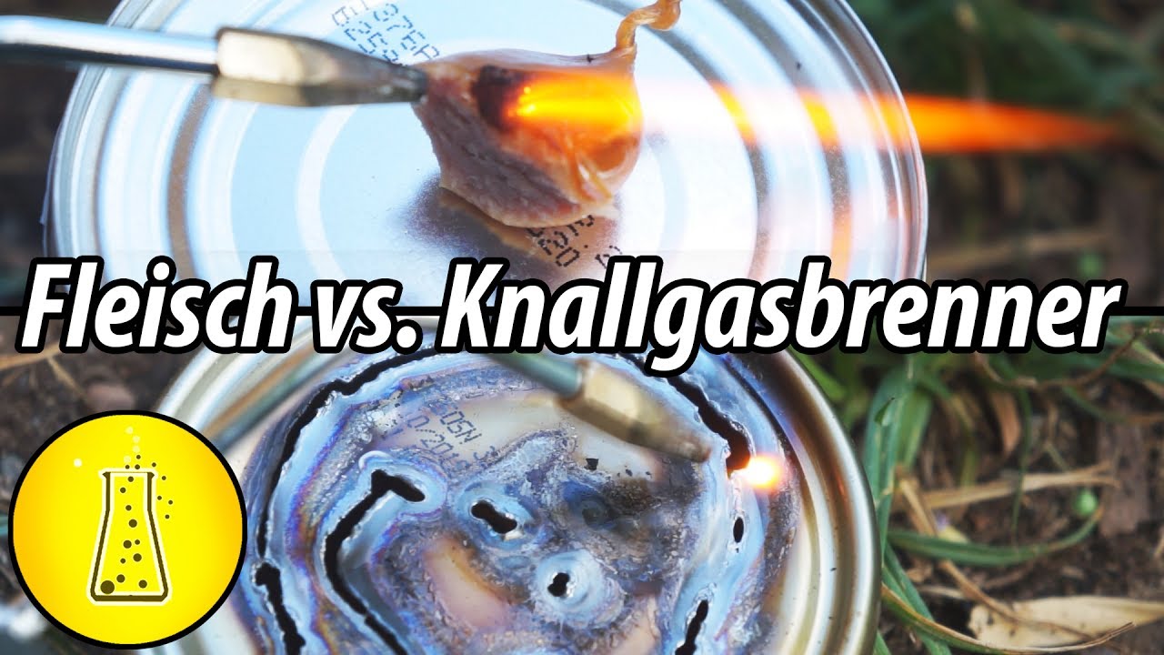 Knallgasbrenner vs. Fleisch, Mais und Öl!