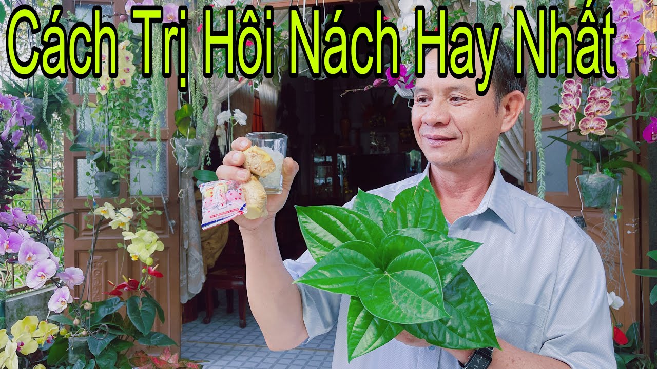 Bốn Bài Thuốc Trị Hôi Nách Dứt Điểm Trong 1 Tuần