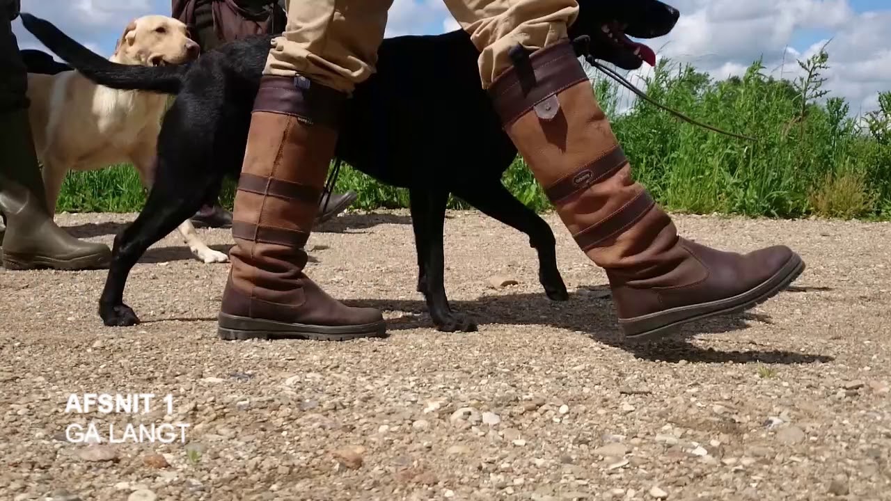 Online hundetr&aelig;ning. Positiv jagthundetr&aelig;ning.  Fri ved fod for de iltre hunde