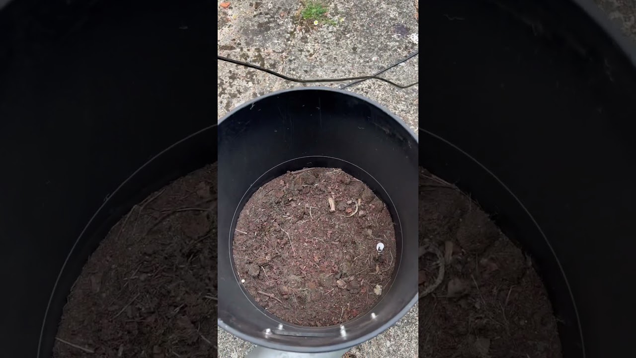 Gutter vacuum systems Panther 🐈‍⬛ doing its thing today!