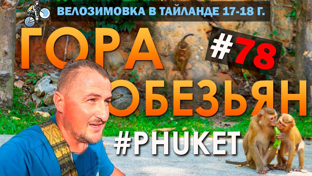 Гора Обезьян На Пхукете (Khao Toe Sae). Phuket Monkey Hill #78 ВЕЛОЗИМОВКА. ТАИЛАНД