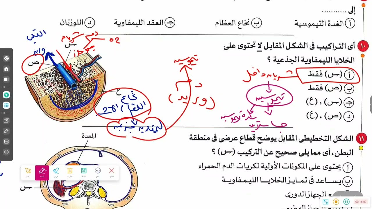 حل اسئلة الجهاز الليمفاوي كتاب الامتحان 