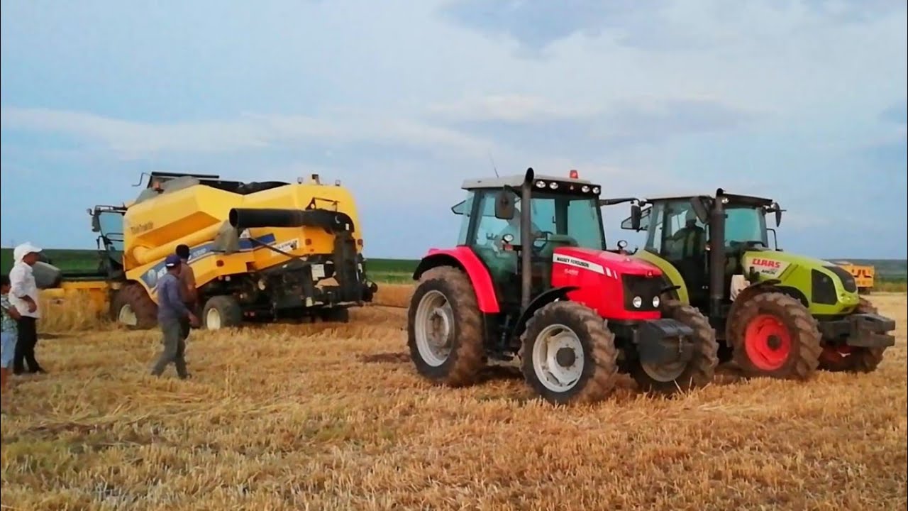Çamurda Kalan Biçeri Kurtarma Operasyonu #1 - MASSEY FERGUSON 5455 * CLAAS ORİON 410