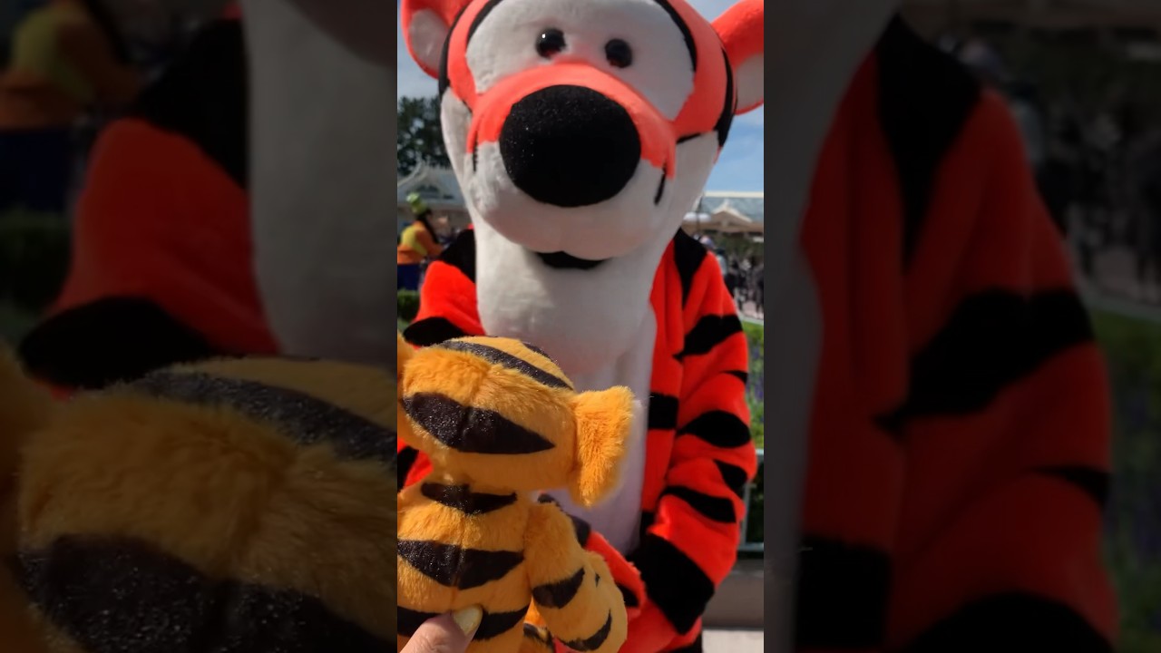 【ティガーがドアップ！？】 #ディズニー #pooh #disney#tigger#ティガー#ディズニーランド#disneyland#TDL#shorts