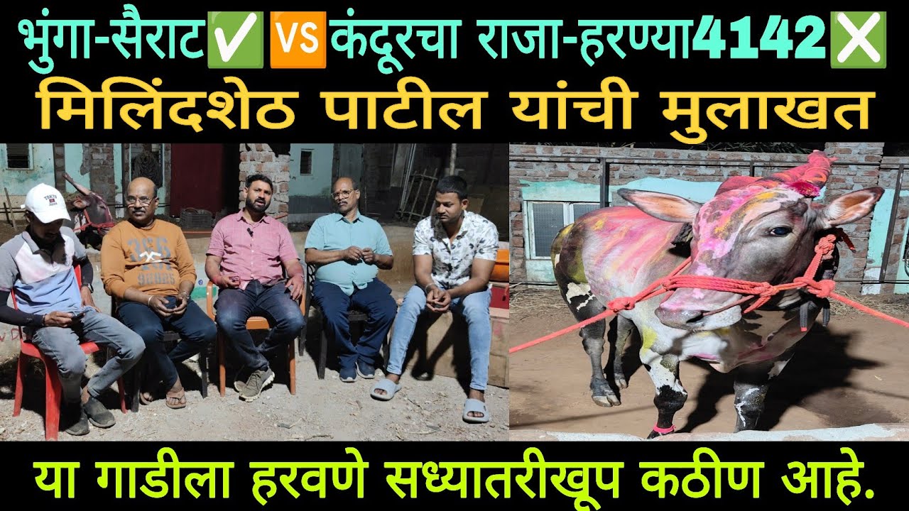 भुंगा-सैराट च्या विजयानंतर मिलींदशेठ यांची मुलाखत | या गाडीला हरवणे सध्या खूप काठीण आहे | 