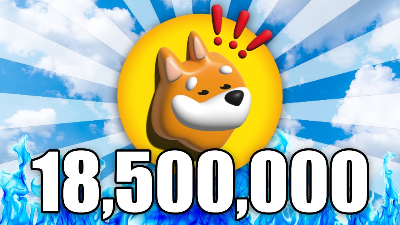 What 18,500,000 BONK Coins Will Be Worth in 2025...