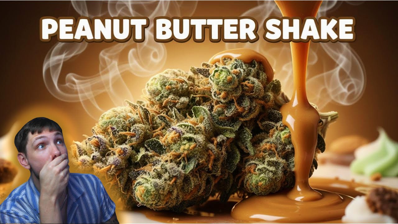 A Peanut Butter Strain That Actually Tastes Like Peanut Butter 👀🔥
