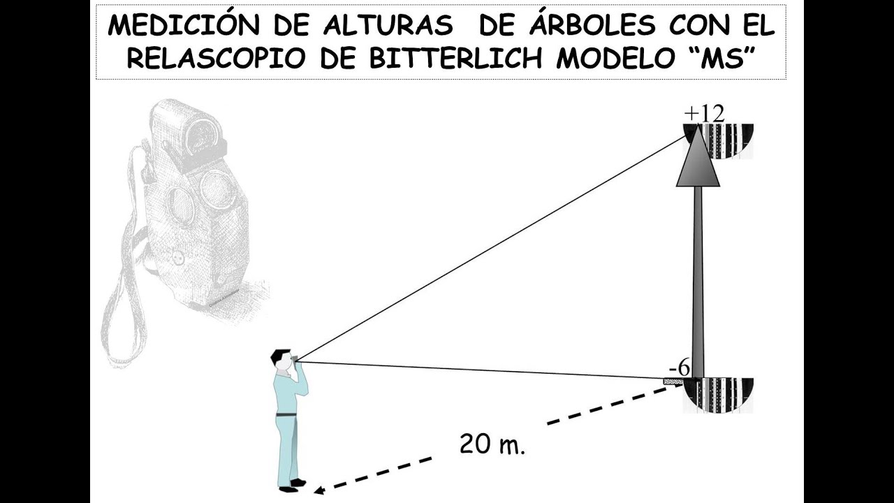 MEDICIÓN DE ALTURAS DE ÁRBOLES CON EL RELASCOPIO DE BITTERLICH