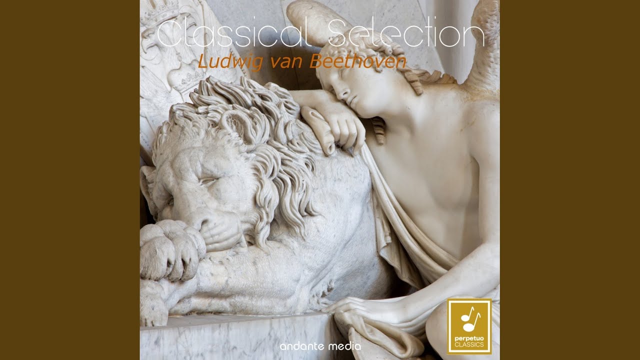 Symphony No.9, Op. 125: I. Allegro Ma Non Troppo, Un Poco Maestoso