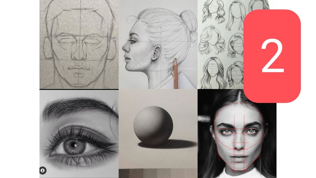 كورس رسم من الصفر للمبتدئين في الرسم 2