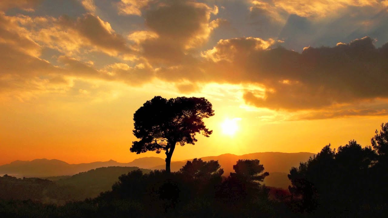 Vide Cor Meum, a beautiful piece of music
