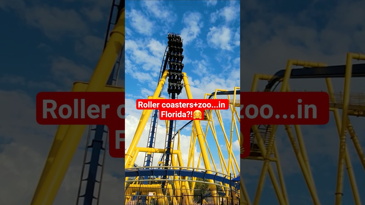 Spent the day at Busch Gardens Tampa Bay 🤗 