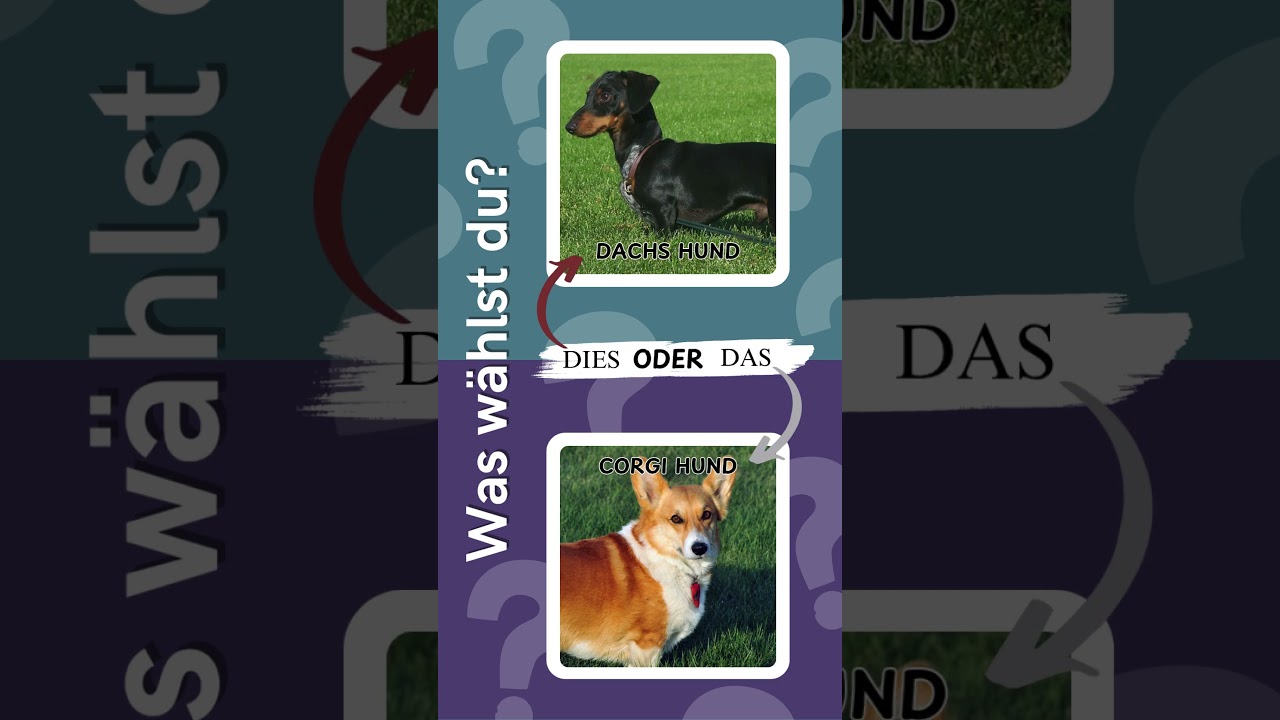 DIES ODER DAS - (Part 3) #shorts