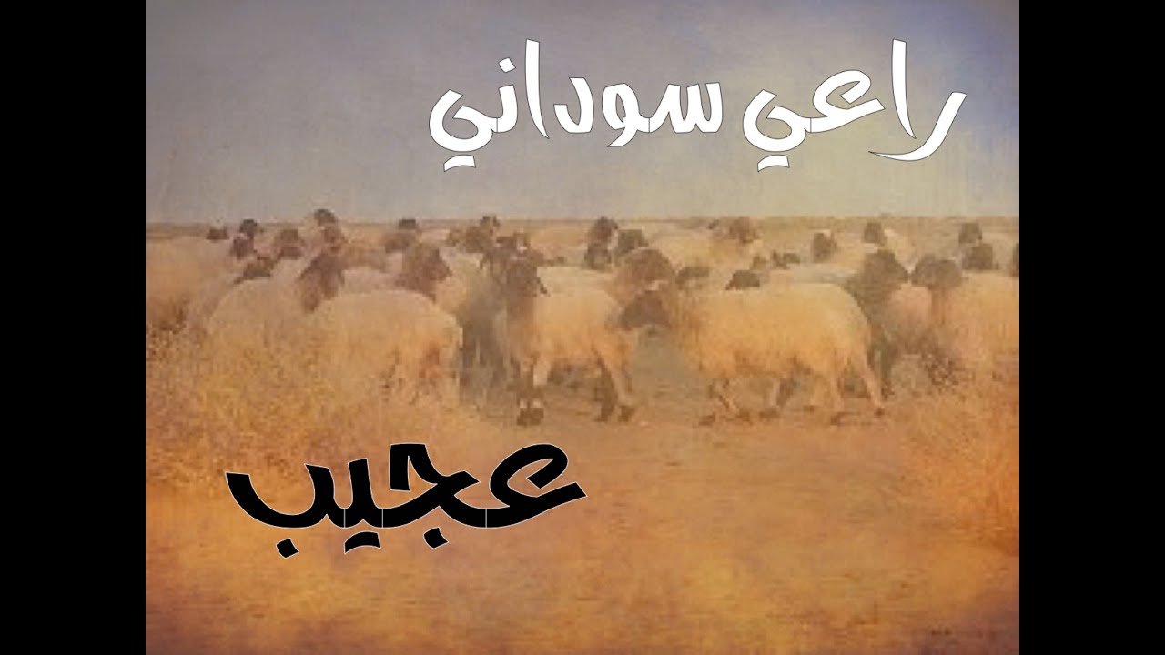 راعي سوداني لاول مرة في السعودية وقصة غريبة عجيبة من عالم آخر #قصص#حقيقية#قصة#واقعية#جن#رعب