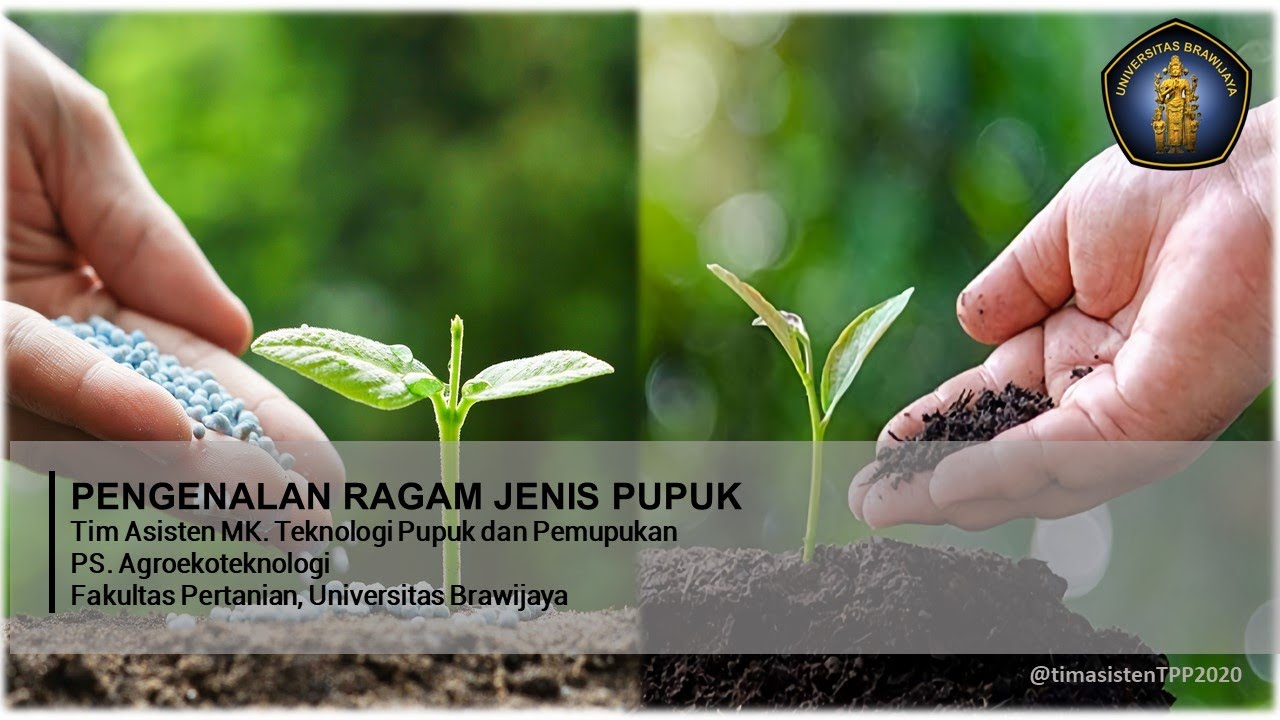 Pengenalan Ragam Jenis Pupuk