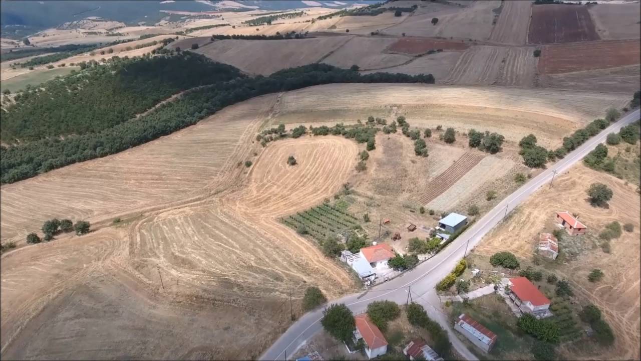 ΑΧΛΑΔΙΑ ΔΟΜΟΚΟΥ - AIRPHOTOS FARSALA