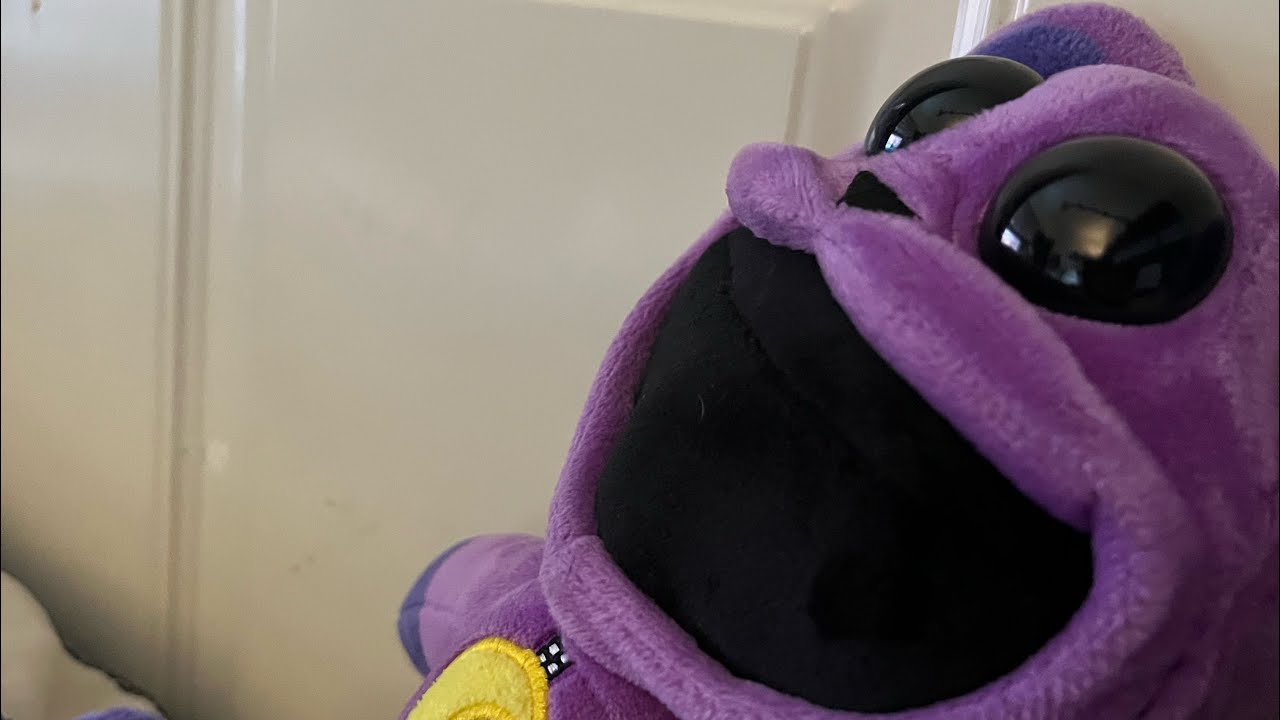 I found a cat nap in real life. PS it didn’t end well. ￼