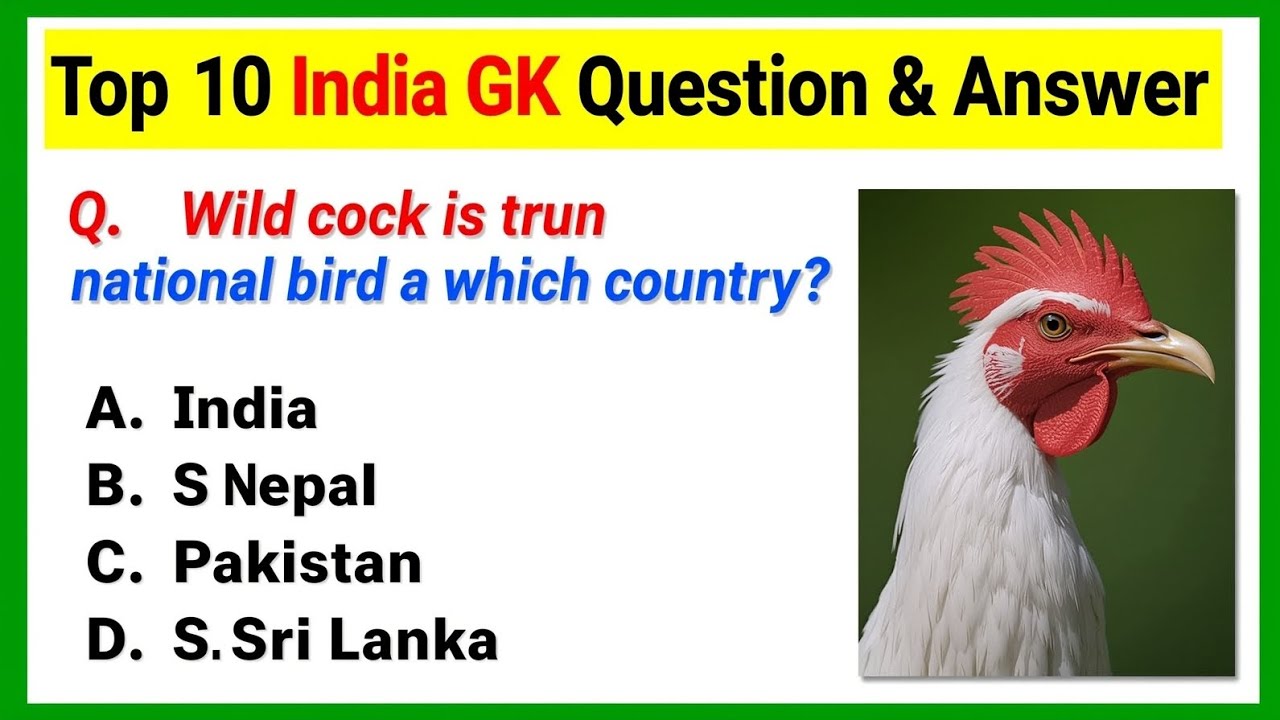 Most Important GK Questions That Can Make You Look Super Smart!