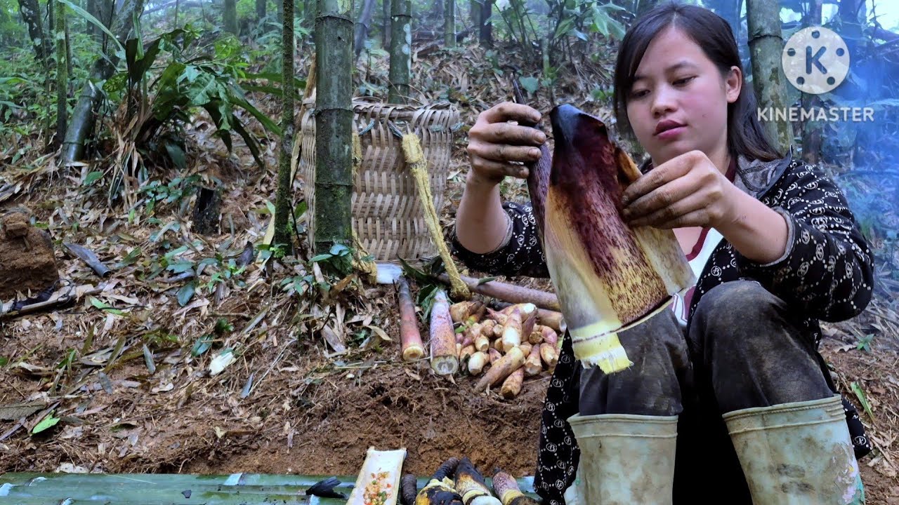 Single Mom Alone in the Deep Forest Digging Bamboo Shoots to Feed Her Children