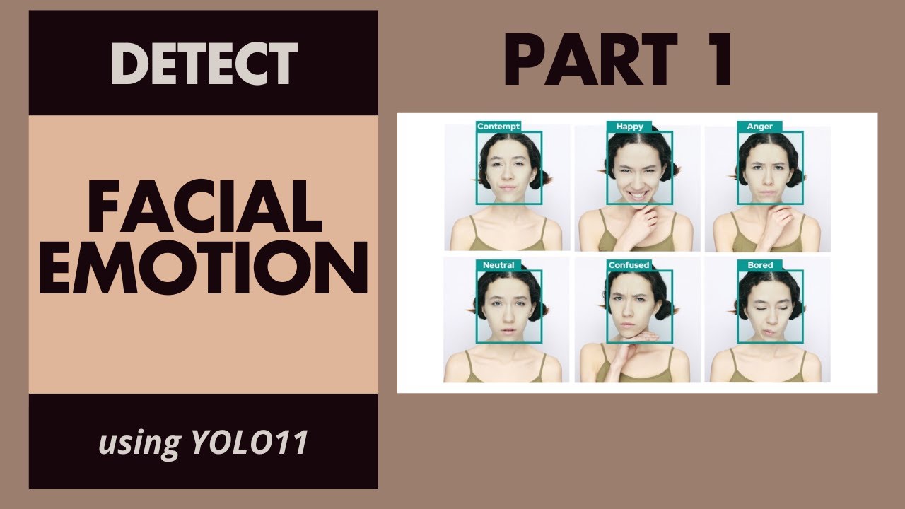 Facial Emotion Detection using Yolo11 - Part 1
