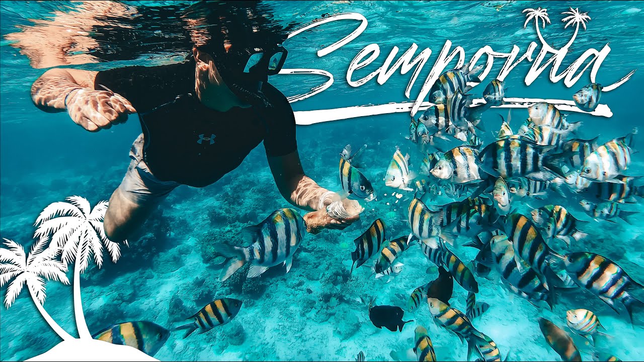 [4K] Semporna, Sabah Travel Vlog & Tips 2022 - Pulau #1 Tercantik di Malaysia!