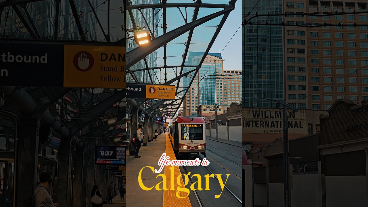 Calgary Canada Summer Life 🇨🇦🇨🇦 #Calgary #Alberta #Canada #yyc #shots