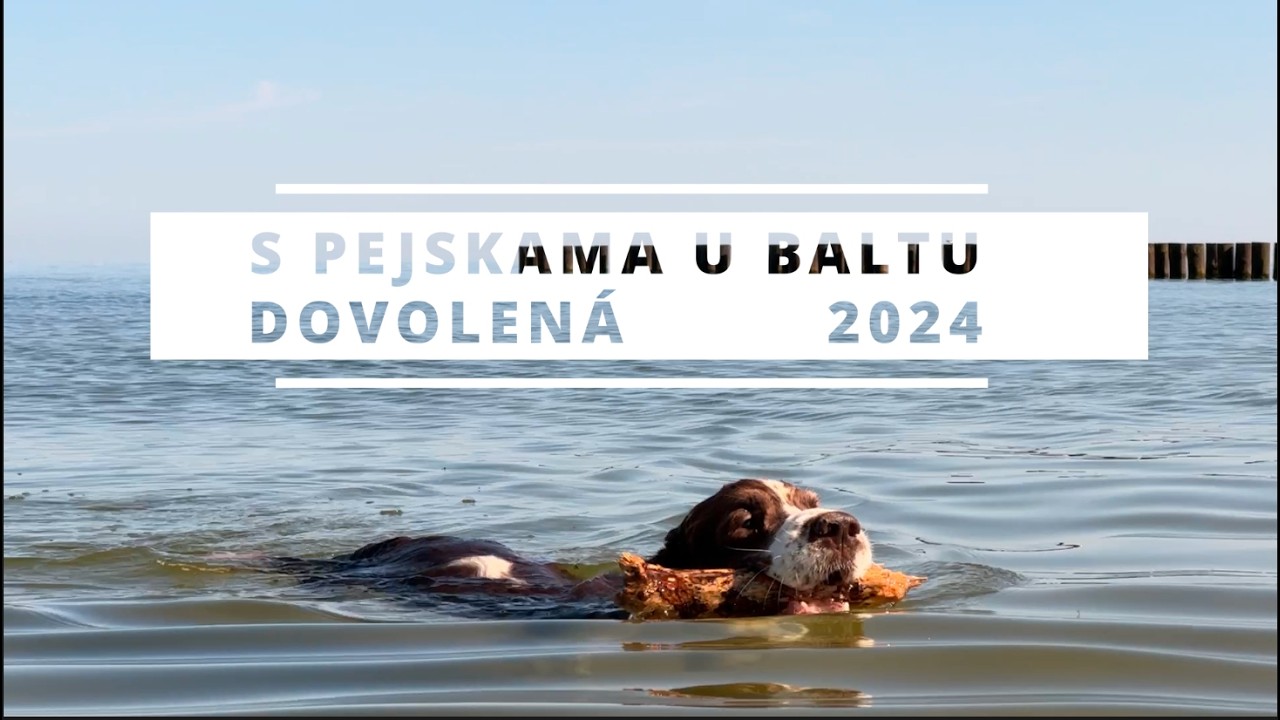 Polsko se psy - Pejskové u Baltu