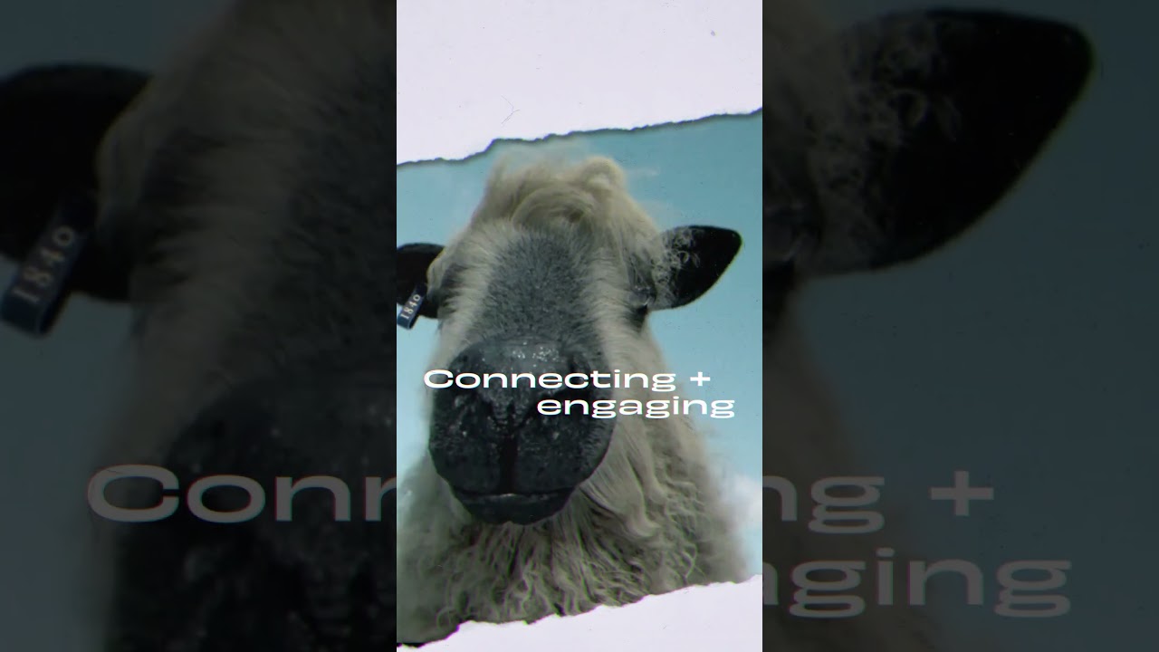 Creative, Art Direction & Production #freelance  #creative  #design #videoproduction #motiongraphics