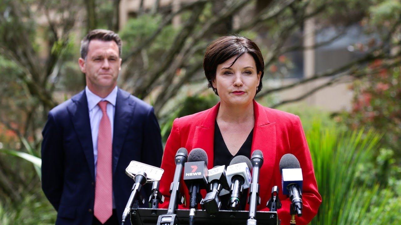 NSW Shadow Treasurer resigns from frontbench