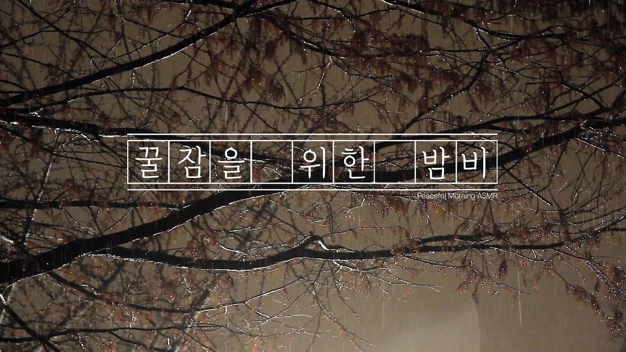 잠이 안올 때 듣는 꿀잠을 위한 밤비 빗소리 ASMR