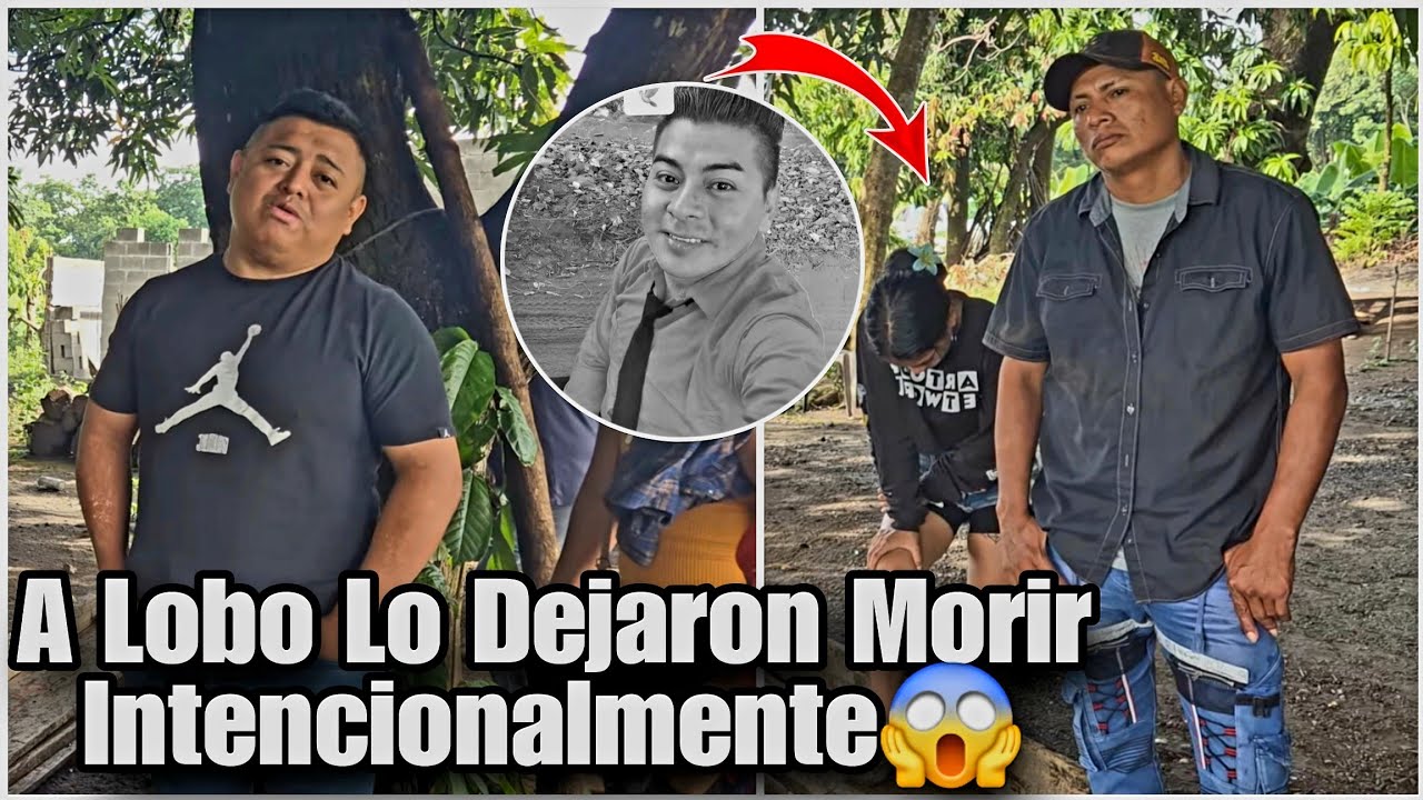 Lobo No Fue Trasladado a Ningún Hospital de la Capital|Mira Aque Lugar Se Lo Llevó La Ambulancia 