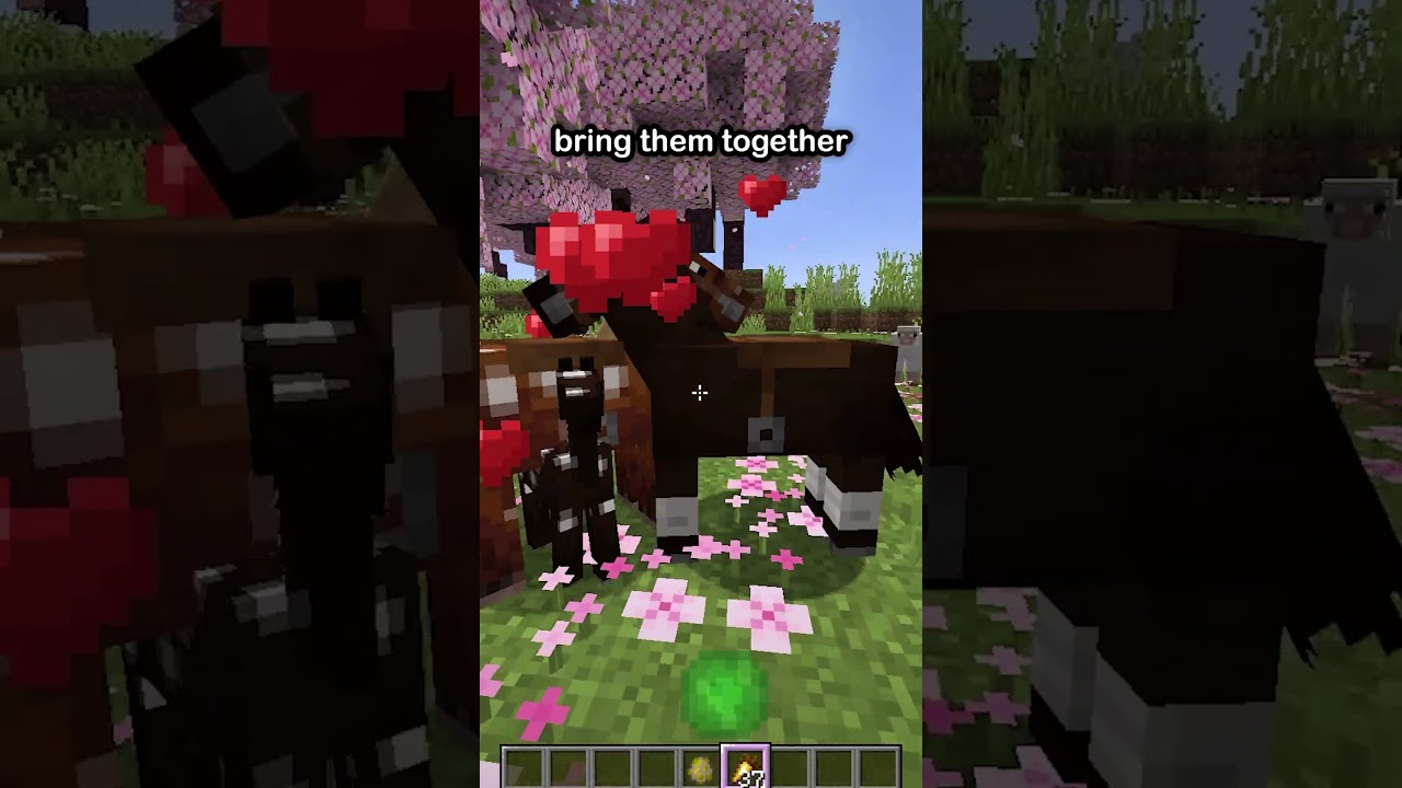 The Secret To Minecraft Horse Breeding!