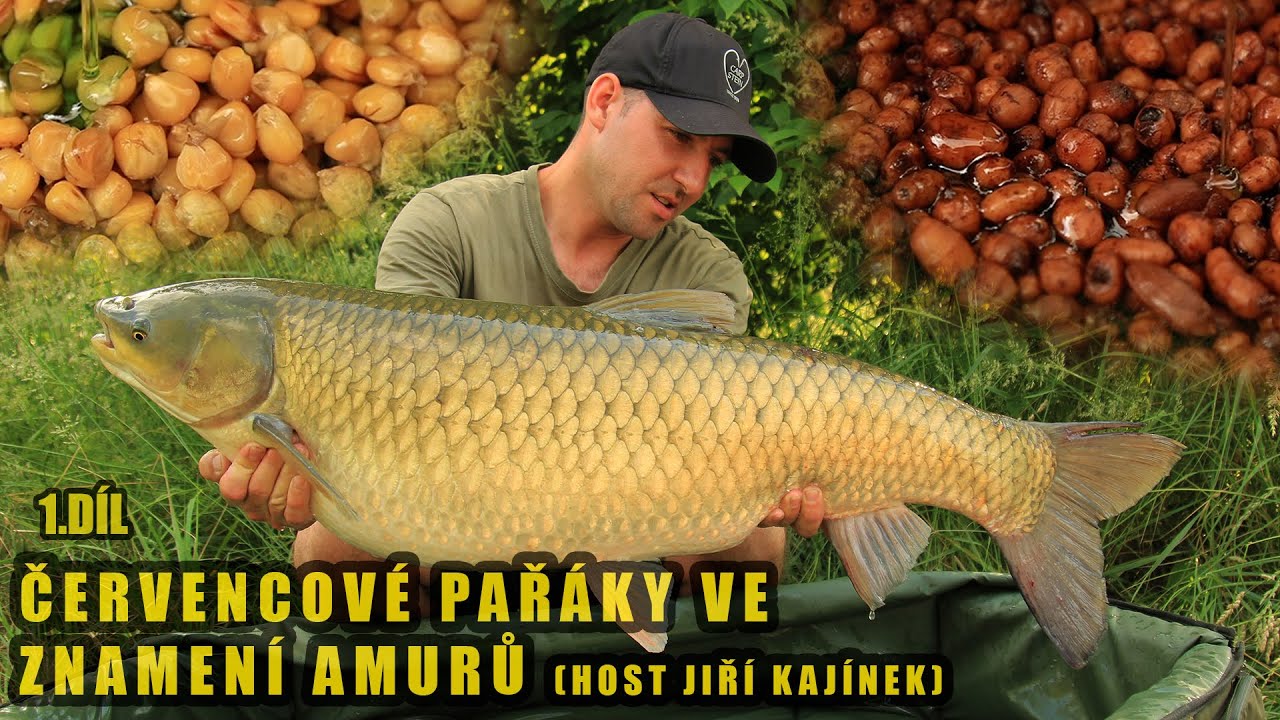 Červencové pařáky ve znamení amurů